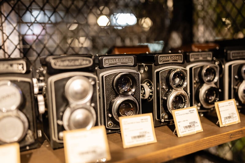 A row of vintage twin-lens reflex cameras, including Rolleicord models, displayed on a wooden shelf with price tags in front of each camera, behind a wire fence background.