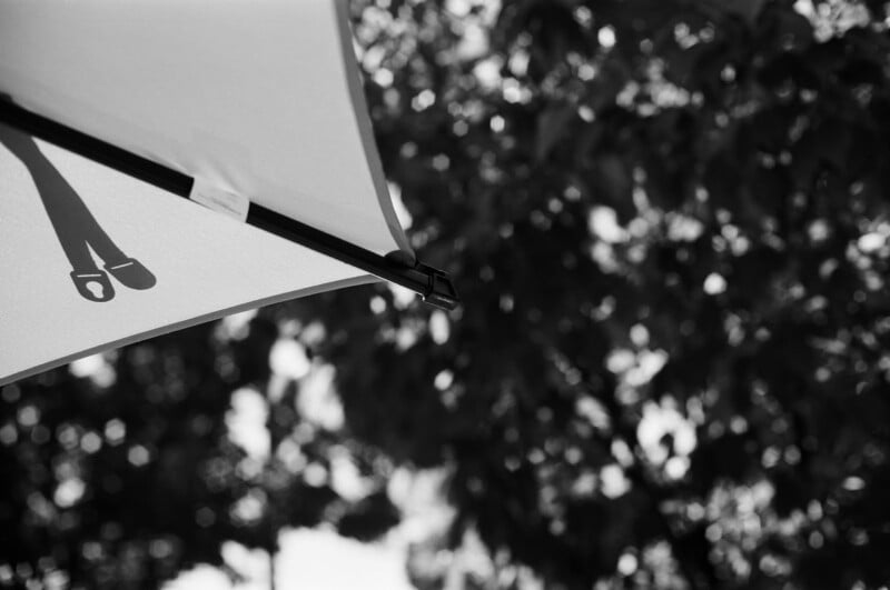A close-up of the corner of a white umbrella with a clear shadow of a lock. The background is out of focus, showing leafy trees with sunlight filtering through. The image is in black and white.