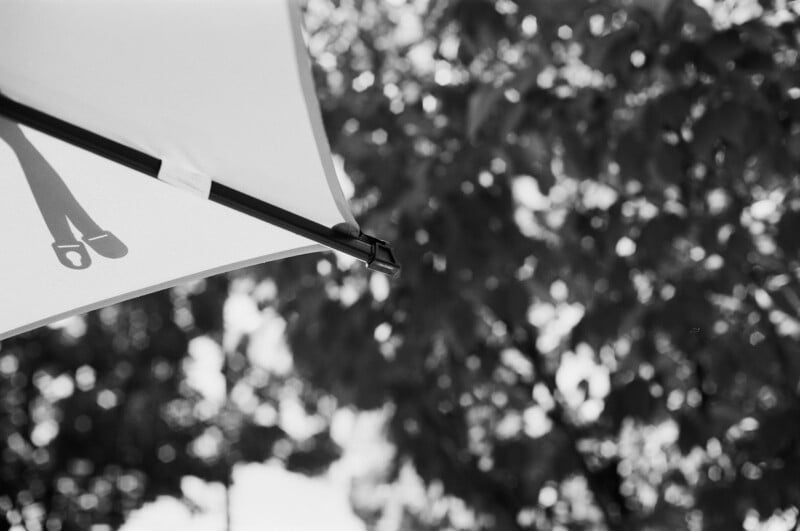 A black and white photo of a patio umbrella with a shadow of a strap and buckle on its fabric. In the background, out-of-focus leafy trees create a bokeh effect.