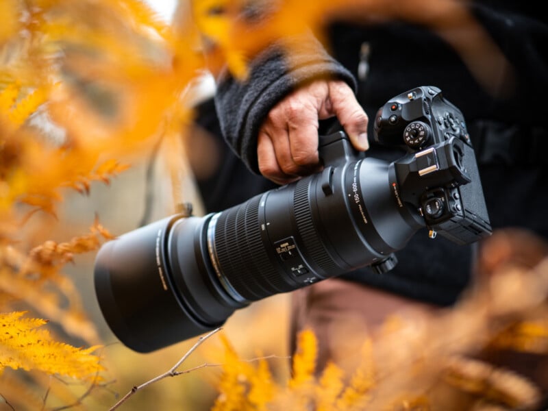 A person holding a DSLR camera with a large telephoto lens, surrounded by vibrant orange autumn leaves. The camera is pointed downward, and the scene is outdoors.
