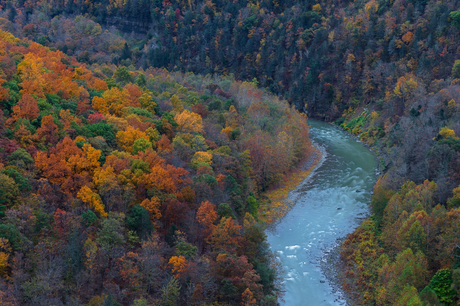 A winding river flows through a dense forest of trees with vibrant autumn foliage in shades of orange, yellow, red, and green. The forested hills surround the river, creating a colorful, scenic landscape.