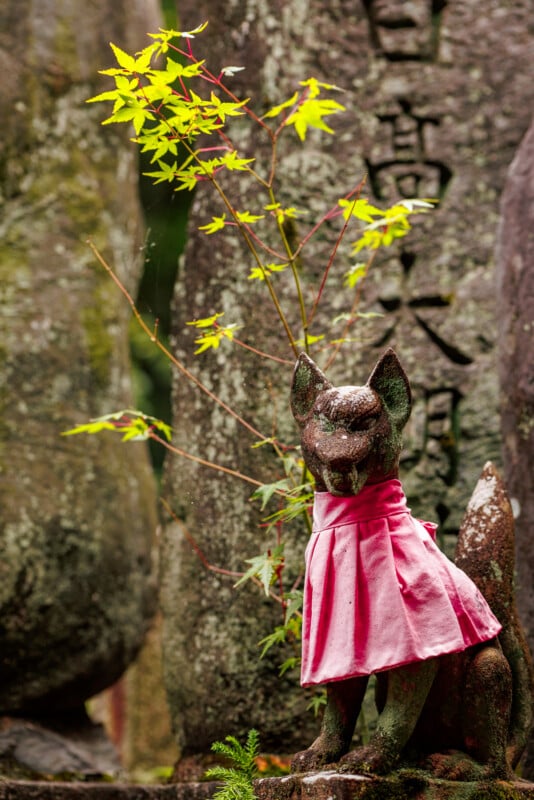A stone fox statue wearing a pink cloth sits in front of weathered stone tablets with Japanese inscriptions, surrounded by green maple leaves.