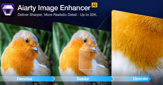 Promotional graphic for Aiarty Image Enhancer showing a bird photo improved through three steps: denoise, deblur, and upscale; the bird's feather details become sharper and clearer in the final image.