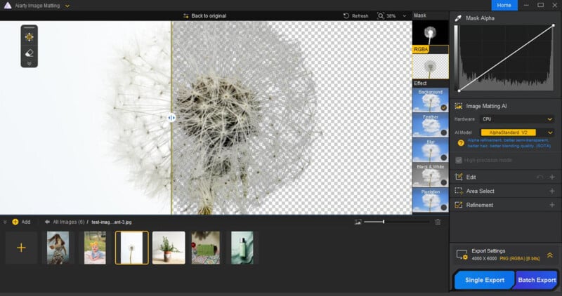 A screenshot of image editing software showing a dandelion photo being processed to remove the background, with a split view comparing the original image on the left and the transparent background result on the right.