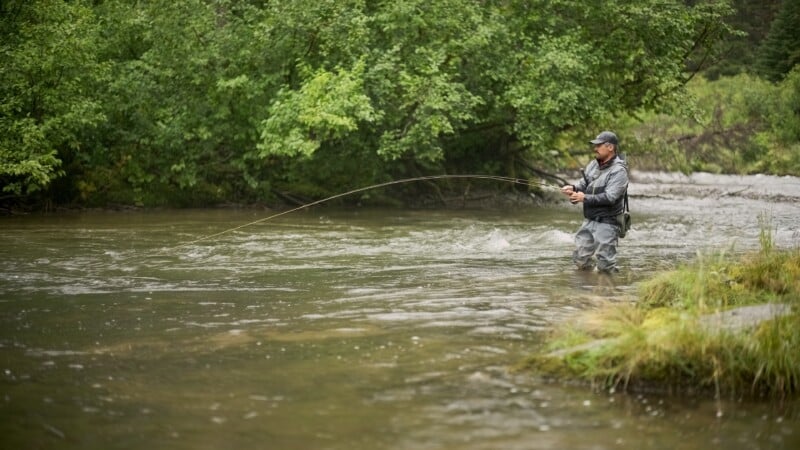 A person in waders and a cap stands in a shallow river, surrounded by green trees, fly fishing with a bent fishing rod.