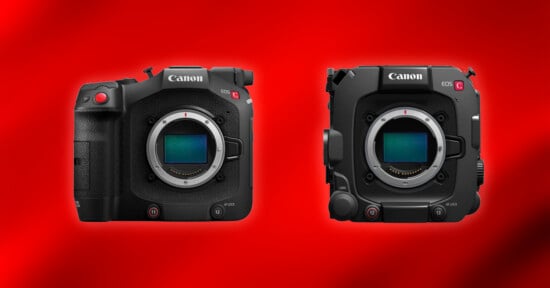 Two Canon EOS cameras without lenses are displayed side by side on a red background with a black textured pattern. Both cameras have visible sensors and prominent control buttons.