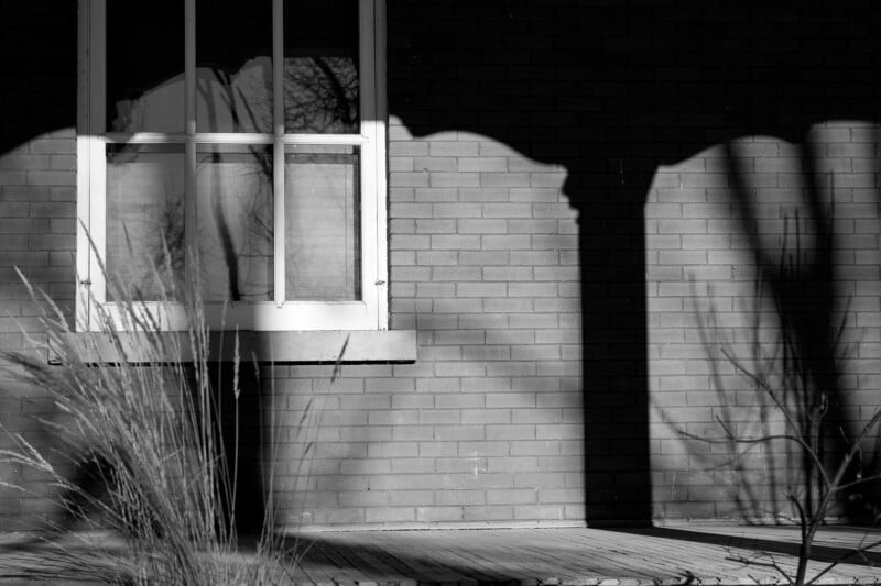 Black and white photo of a brick building with a large window. Sunlight casts shadows of bare tree branches and a porch railing on the wall and ground; tall grasses are visible in the foreground.