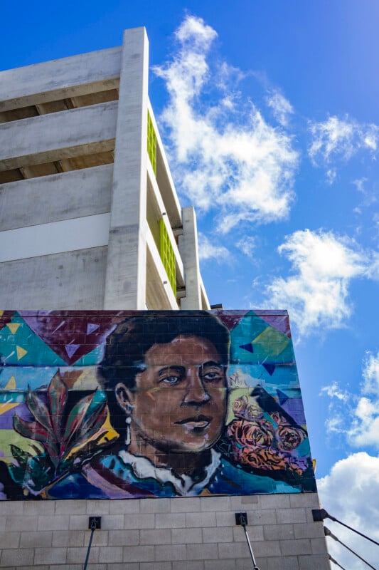 A colorful mural of a woman’s face with plants and geometric patterns is painted on a brick wall beneath a modern concrete building, set against a bright blue sky with scattered clouds.