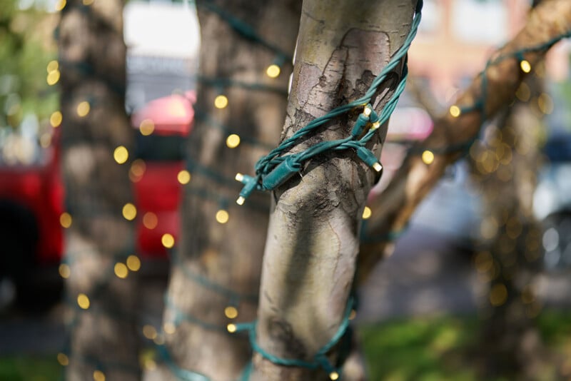Close-up of tree branches wrapped with green wires and small yellow string lights, with a blurred background showing hints of cars and buildings.