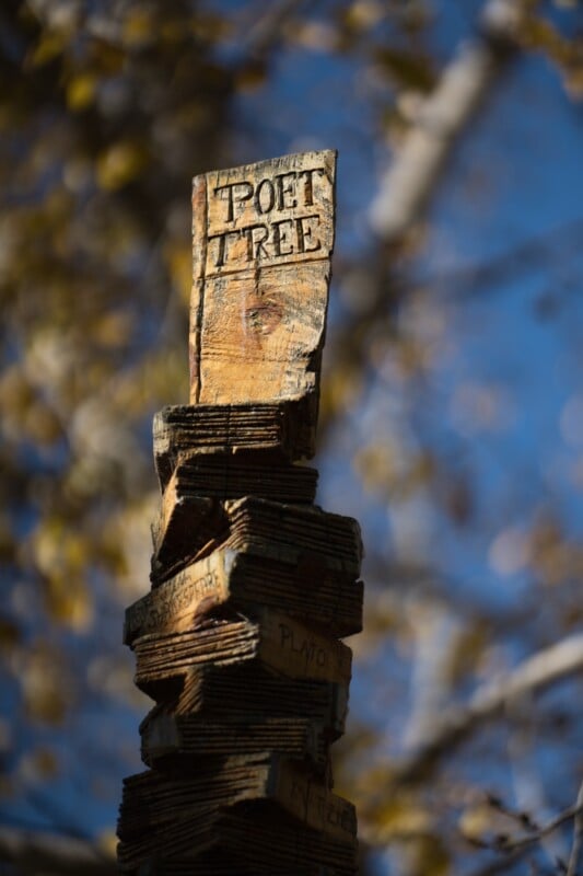 A carved wooden sign reading "POET TREE" tops a stacked wooden sculpture, with blurred tree branches and blue sky in the background.