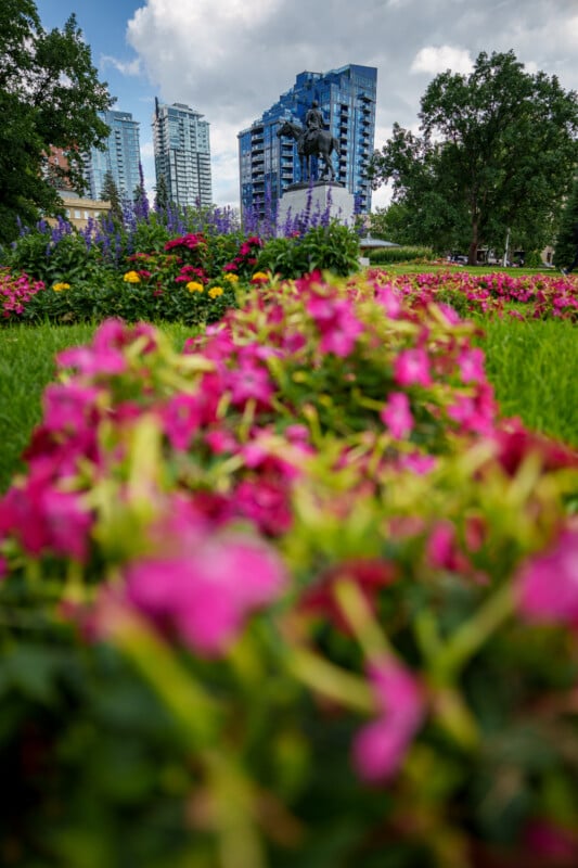 A vibrant garden with pink and purple flowers in the foreground, a statue in the center, and modern blue buildings and trees in the background under a partly cloudy sky.