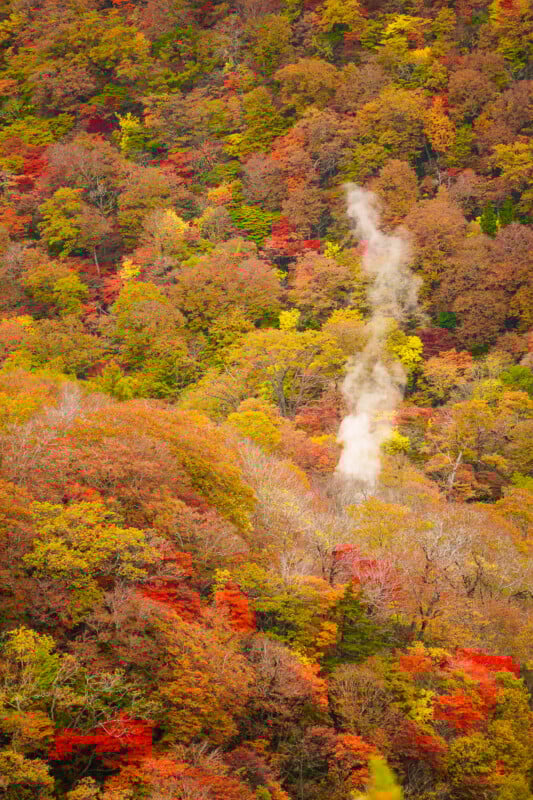 A forested hillside covered in vibrant autumn foliage with shades of red, orange, and yellow. A narrow plume of steam or smoke rises vertically through the colorful trees.