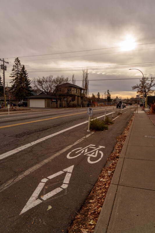 A bike lane runs along a quiet, empty street lined with houses and leafless trees under a cloudy, overcast sky with the sun shining through. Fallen leaves are scattered on the sidewalk and roadside.