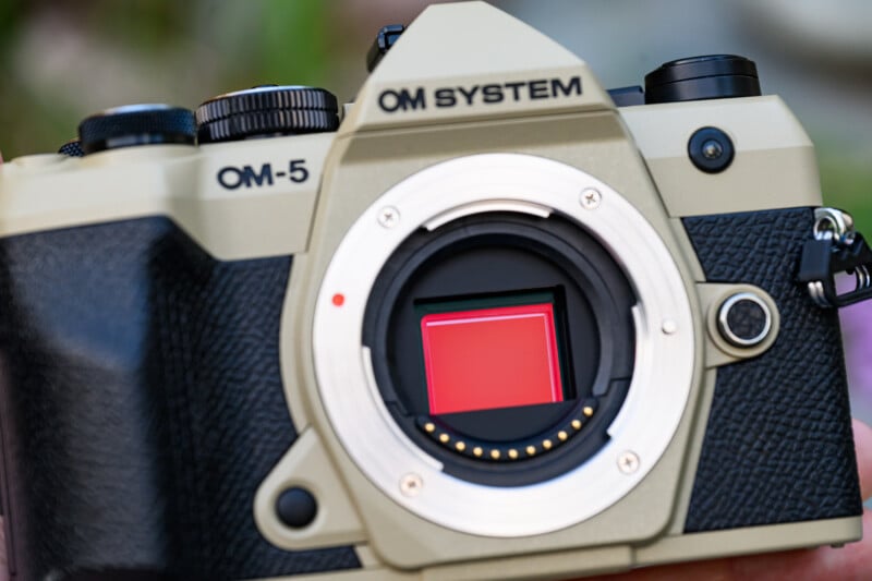A close-up of an OM SYSTEM OM-5 camera body, showing the lens mount and exposed image sensor, with a blurred outdoor background.