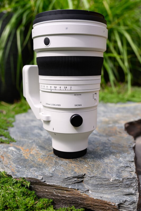 A large white Sigma camera lens with a tripod mount sits upright on a flat stone surface outdoors, with green plants blurred in the background.