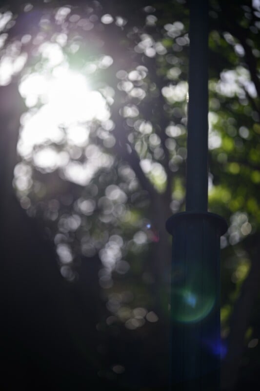 Sunlight filters through blurry green foliage, creating a soft, glowing effect. A dark vertical pole stands in the right foreground, partially in shadow. The overall image has a dreamy, out-of-focus appearance.