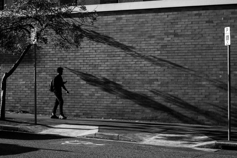 A person walks on a sidewalk next to a brick wall, casting a shadow. A tree and two parking signs are also visible, with the tree's shadow stretching across the wall. The image is in black and white.