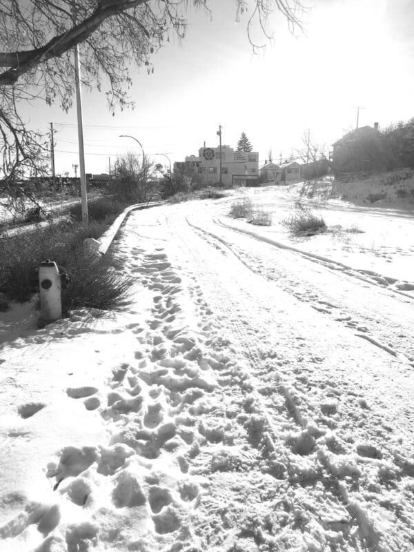 A snow-covered path with footprints and tire tracks curves through a wintry landscape toward buildings in the distance under a bright sun. Bare tree branches frame the scene, and shadows stretch across the snow.