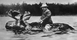 A man in a suit and hat appears to be riding a large moose through a body of water, with trees visible in the background. The image is in black and white.