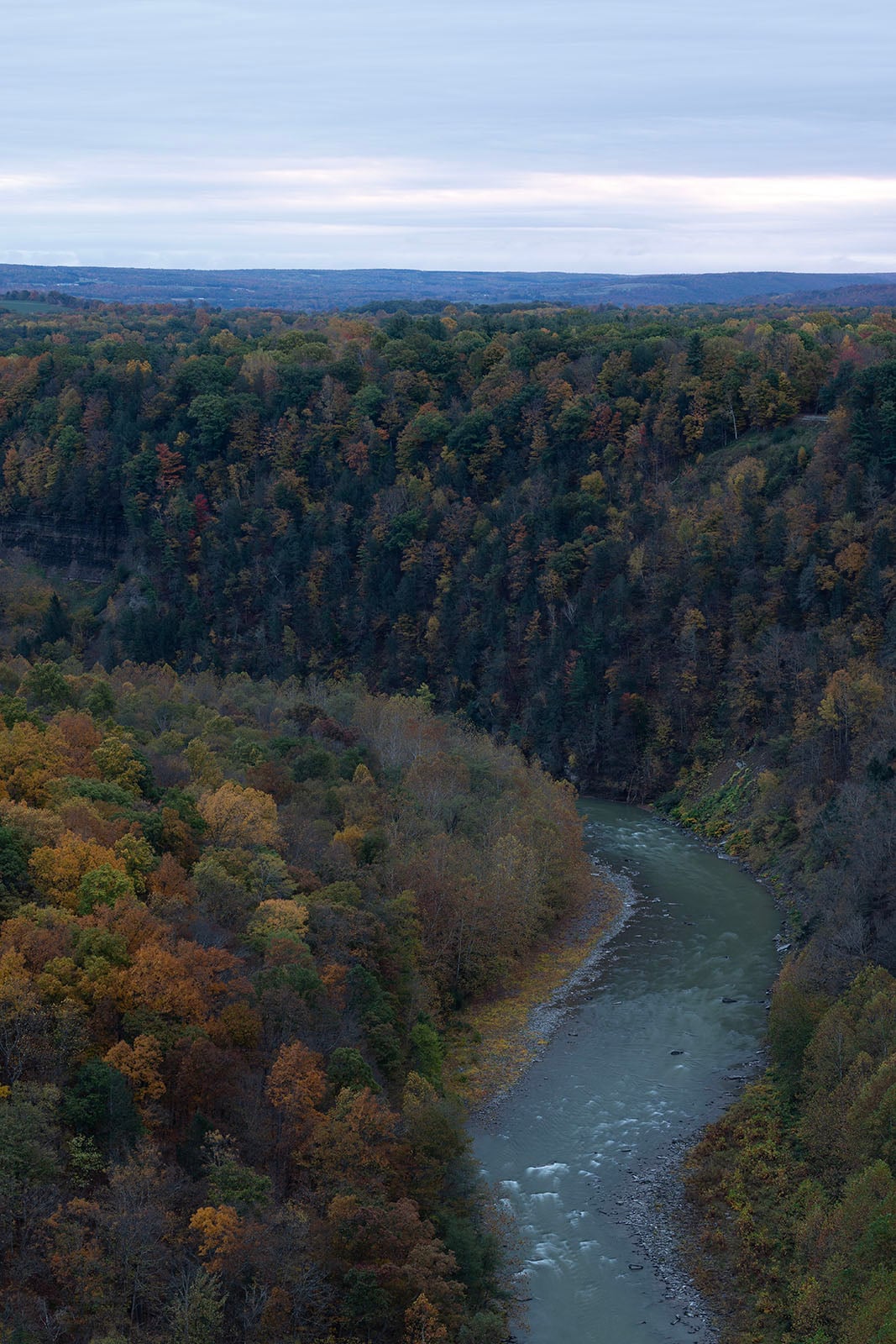A winding river flows through a forested valley with trees displaying autumn colors under a cloudy sky, extending to the horizon.