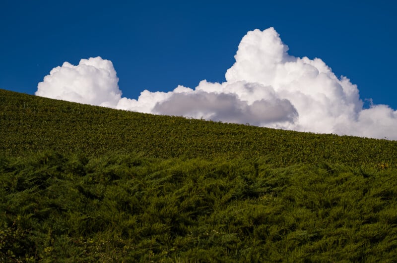 A vivid green hillside stretches across the image, set beneath a deep blue sky with large, fluffy white clouds towering above the landscape.