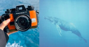 A hand holds an orange underwater camera above the ocean; next to it is an underwater photo of a whale swimming in blue water.