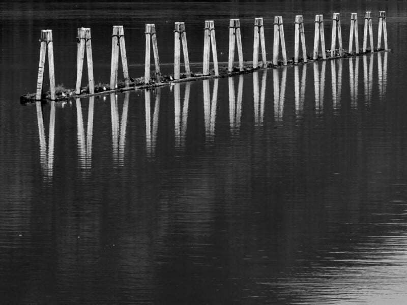 A row of wooden pillars forms a straight line across calm water, each pillar reflected clearly on the water’s surface; the image is in black and white.