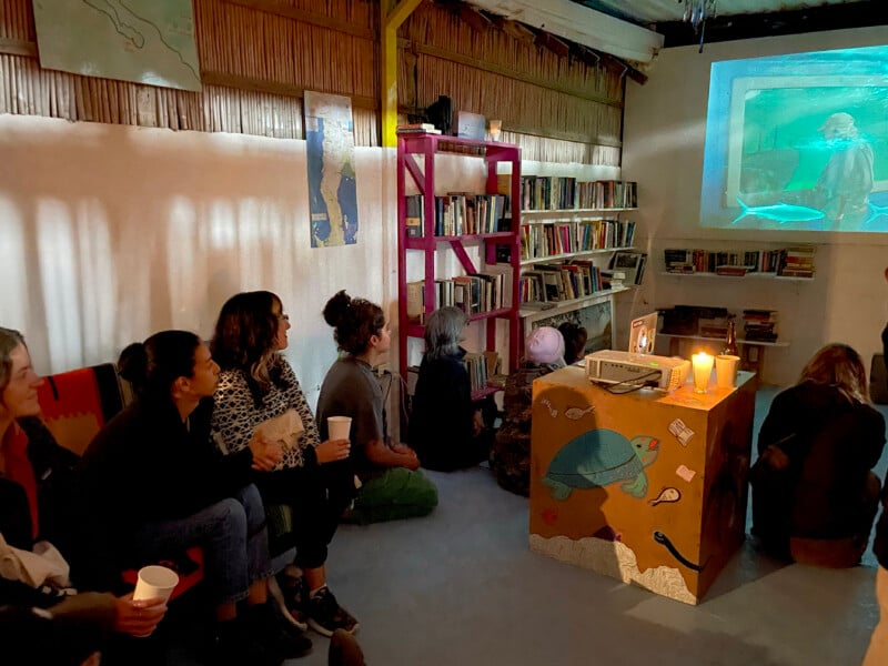 A group of people sit on benches and the floor in a cozy room with bookshelves, watching a nature documentary projected onto a wall. The room is softly lit, and a painted table with candles is in the foreground.