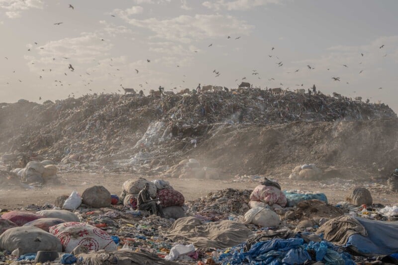 A large landfill with piles of garbage bags and loose trash scattered across the ground. Birds fly above the heaps of waste under a cloudy sky, and dust rises from the scene.