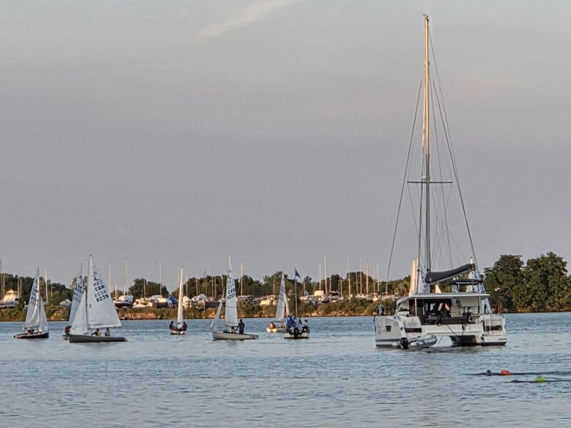 Several small sailboats and a large catamaran are on calm water near the shore, with trees and docked boats visible in the background under a clear sky.