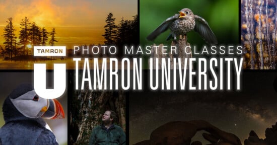 A collage of nature and wildlife photos with the text "Tamron Photo Master Classes" and "Tamron University" in large letters across the center.