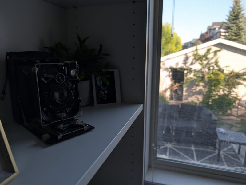 A vintage camera sits on a white shelf next to a small framed photo and a plant, with sunlight streaming through a nearby window that overlooks a backyard and trees.