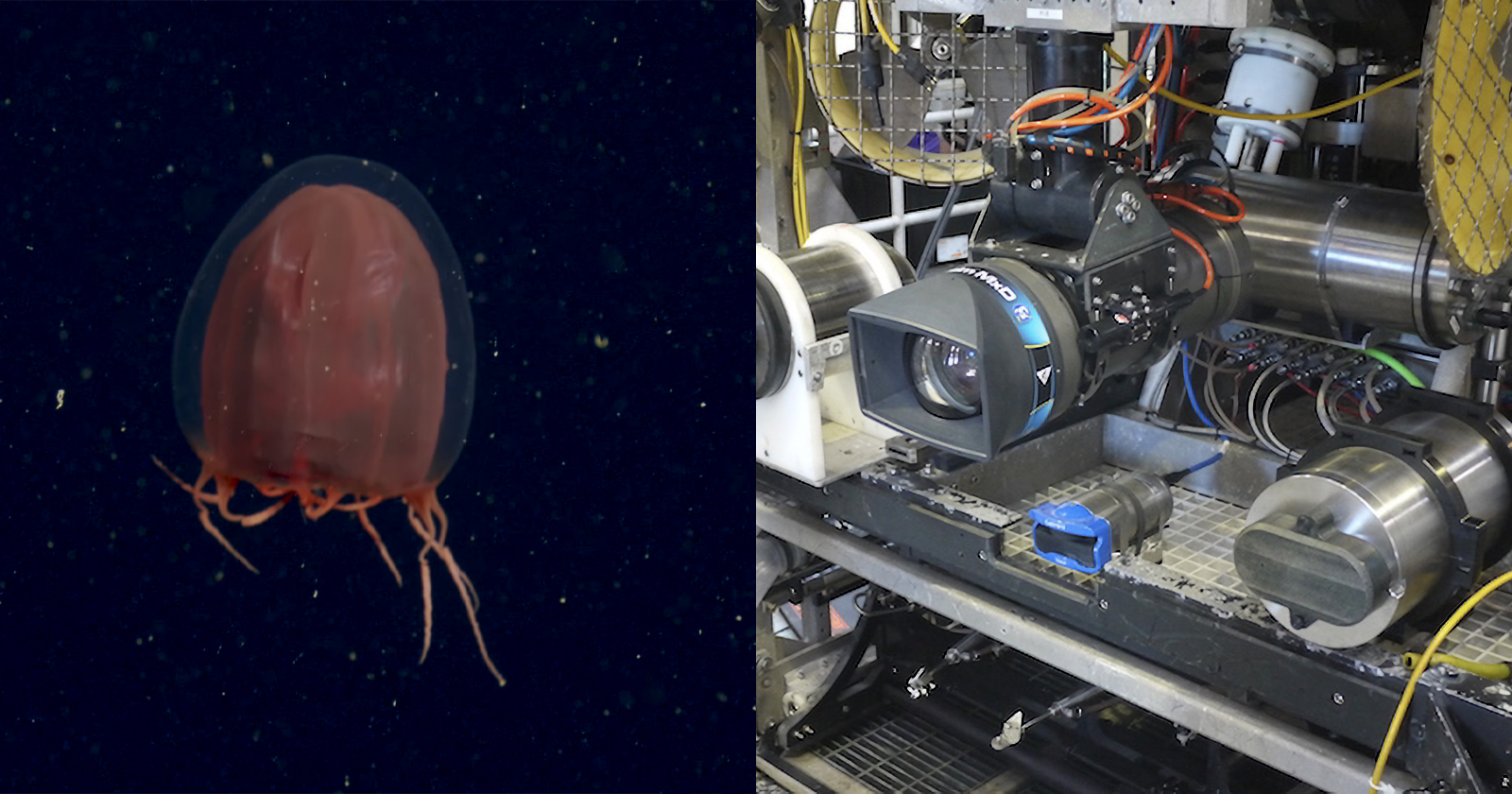 MBARI Undersea Camera