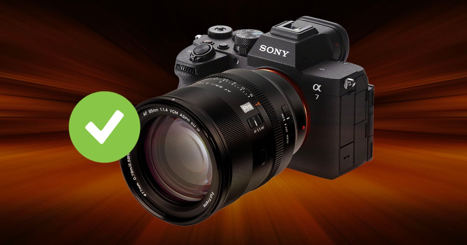 A Sony Alpha camera with a large lens is displayed on a brown, motion-blurred background, with a large green checkmark icon overlaid on the left side of the image.