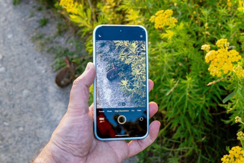 A hand holds a smartphone, capturing a photo of yellow flowers and green foliage on a sunny day. The phone screen displays the flowers and part of a dirt path in the camera app.