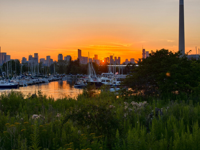 A vibrant sunset over a marina with sailboats docked, lush greenery in the foreground, and a city skyline with tall buildings silhouetted against the orange sky in the background.